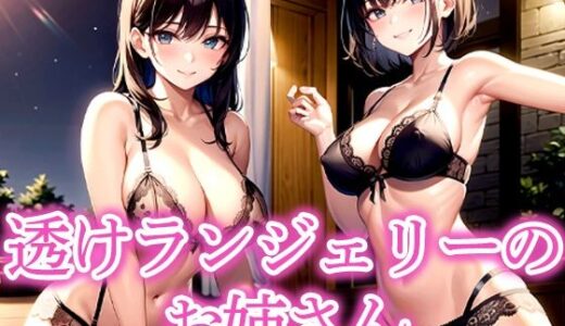 【2025-09-25発売】透けランジェリーのお姉さん【d_535690】【ぱぱぱん】
