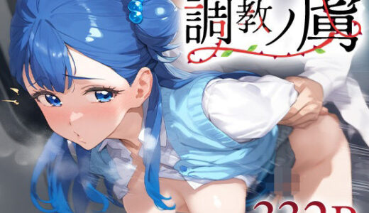 【2025-09-02発売】調教ノ虜 キュアア○ジュ【d_581187】【パイパニック】