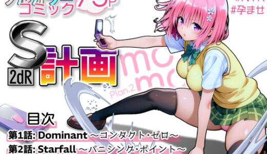 【2025-08-29発売】S計画.2 〜第3王女・モモ、奴◯堕ち〜【d_589813】【2dR】