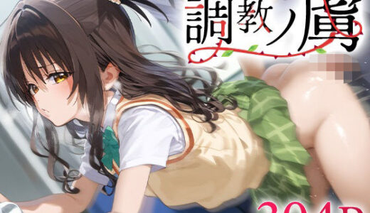 【2025-10-04発売】調教ノ虜 結城○柑【d_590309】【パイパニック】