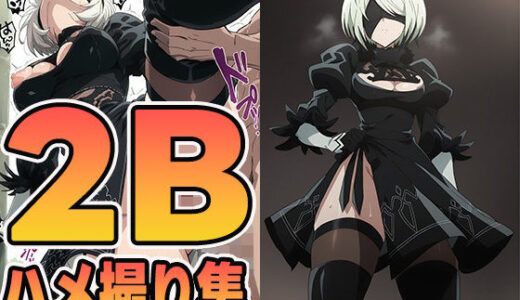 【2025-10-10発売】2Bハメ撮り集【d_598351】【ぽんぽんたぬきち】