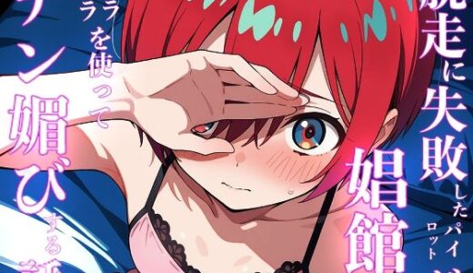 【2025-09-08発売】脱走に失敗したパイロットが娼館でキラキラを使ってチン媚する話【d_608346】【派遣社員】