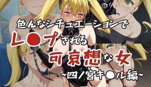 【2025-09-30発売】超絶不幸〜色んなシチュエーションでレ●プされる可哀想な女〜四ノ宮キ●ル編【d_621137】【HB鉛筆】