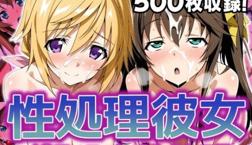 【2025-09-02発売】性処理彼女 イ〇フィニット・スト〇トス編2【d_627889】【破戒工房】