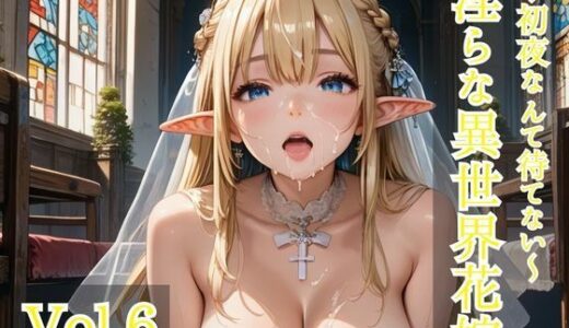 【2025-09-02発売】淫らな異世界花嫁 Vol.6【d_628381】【ひきこもり会】
