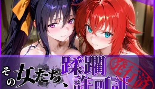 【2025-10-29発売】その女たち、蹂躙許可証発行済み -街の男たちに好き放題使われるヒロインCG集- ハ◯スクールD×D編【d_637530】【陥落工房】