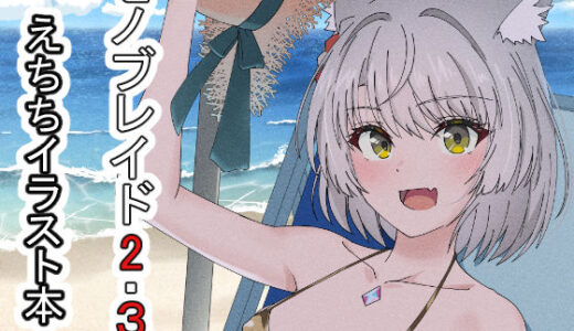 【2025-09-08発売】ゼノブレイド2・3えちちイラスト本2025【d_644257】【ShaDraw】