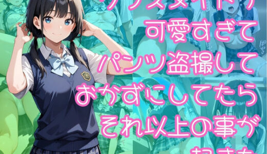 【2025-08-08発売】クラスメイトが可愛すぎてパンツ盗撮しておかずにしてたらそれ以上の事が起きた【d_644501】【入口500m】