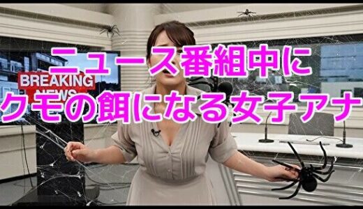 【2025-09-23発売】ニュース番組中にクモの餌になる女子アナ【d_644719】【ノーマルアブノーマル】