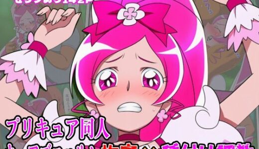 【2025-08-18発売】プリキュア同人 キュアブロッサム拘束×種付け調教【d_646961】【しんくろん】