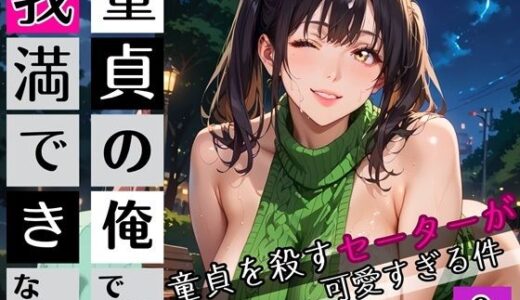 【2025-08-18発売】童貞の俺では我慢できない3！びんびん210枚！童貞を殺すセーターが可愛すぎる件【d_647751】【びんびんドットコム】
