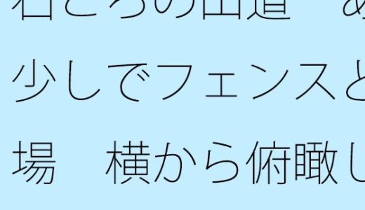 【2025-08-15発売】石ころの山道  あと少しでフェンスと広場  横から俯瞰して分かりつつも・・・・【d_650877】【サマールンルン】