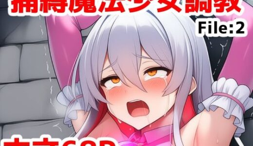 【2025-08-27発売】捕縛魔法少女調教File:2〜捕まった魔法少女がイキ地獄調教で悪堕ちする話【d_652659】【saltワークス】