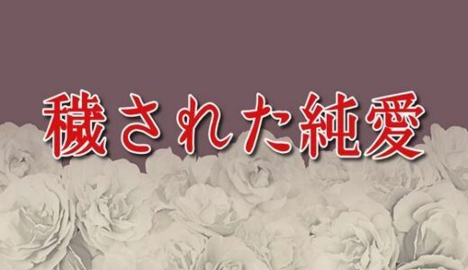 【2025-08-19発売】穢された純愛【d_652682】【えちちどっとこむ】