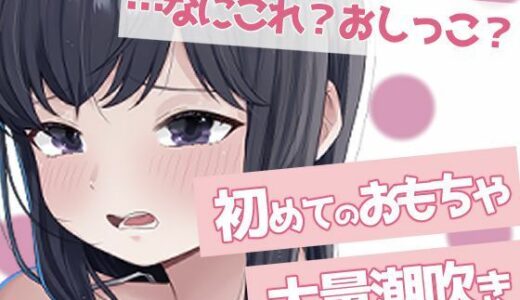 【2025-08-20発売】聞かないでほしい初めての潮吹きオナニー【d_652951】【おもちやさん】