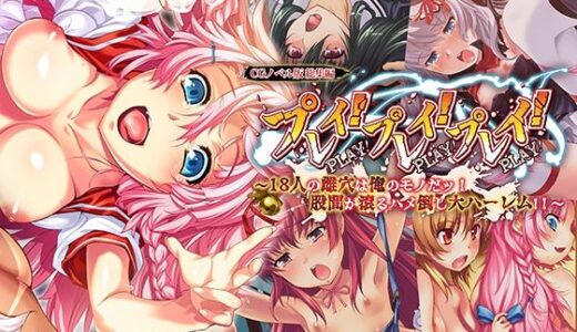 【2025-09-05発売】プレイ！プレイ！プレイ！ CGノベル版 総集編 〜18人の雌穴は俺のモノだッ！ 股間が滾るハメ倒し大ハーレム！！ 〜【d_653013】【どろっぷす！】