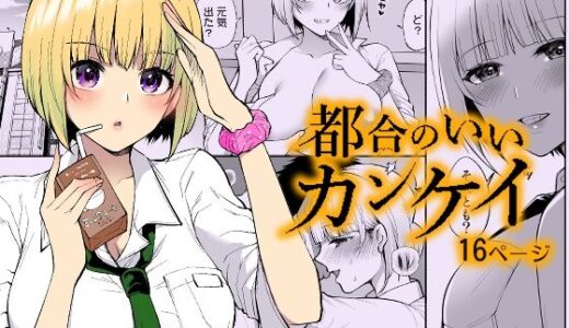 【2025-08-29発売】都合のいいカンケイ【d_655291】【liz project】
