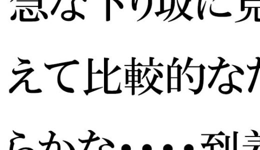 【2025-08-29発売】急な下り坂に見えて比較的なだらかな・・・・到着した森の入り口近く【d_657584】【逢瀬のひび】