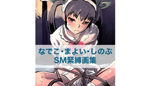 【2025-08-29発売】なでこ・まよい・しのぶ  SM緊縛画集【d_657646】【縛っちゃうおじさん】