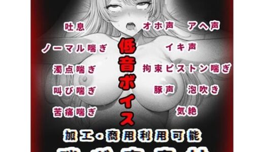 【2025-08-29発売】加工、商用利用可能!【喘ぎ声素材 低音ボイス】ハード系有り!そのまま聴くのもOK【d_657809】【玲の部屋】