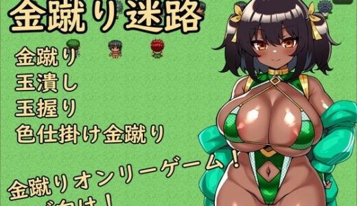 【2025-08-29発売】金蹴り迷路【d_657903】【イン堂】