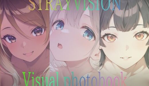 【2025-09-04発売】STRAYVISION Visual photobook【d_658356】【ダブルスラッシュ】