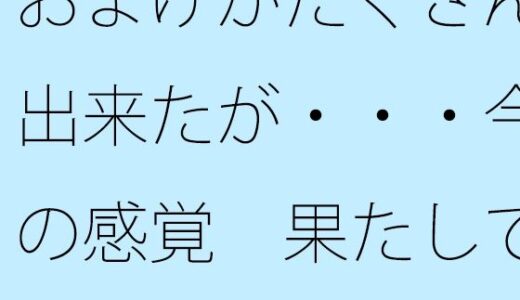 【2025-08-31発売】おまけがたくさん出来たが・・・今の感覚  果たしてそれは・・【d_658844】【サマールンルン】
