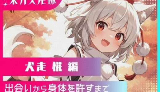 【2025-10-22発売】東方交尾録〜犬走椛編〜【d_660122】【東方FAP】