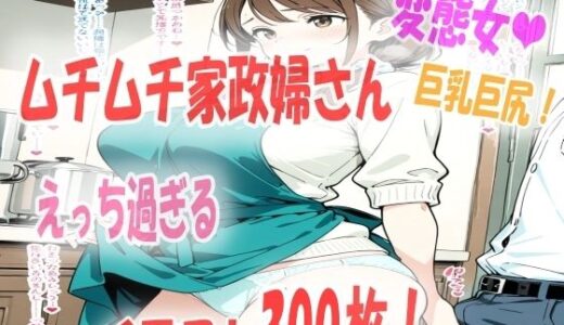 【2025-09-10発売】エッチな家政婦さんを雇ったら想像以上にエロ過ぎて興奮がとまらない！イラスト300枚【d_661162】【あい  イラスト研究所】