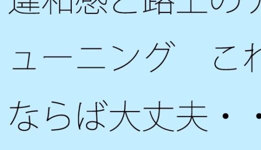 【2025-09-06発売】違和感と路上のチューニング  これならば大丈夫・・・というのがない【d_661564】【サマールンルン】