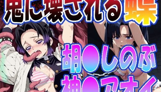 【2025-10-01発売】◇鬼に壊される蝶◇  〜 胡〇しのぶ＆神〇アオイ 〜【d_661989】【エレガントビジョン】