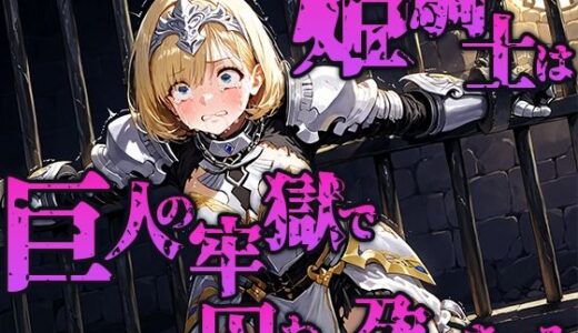 【2025-09-13発売】姫騎士は巨人の牢獄で快楽に囚われ孕まされる【d_662909】【空想彩館】