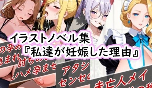 【2025-09-13発売】イラストノベル集『私達が妊娠した理由』【d_663304】【花祭真夏のAI工房】