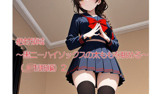 【2025-09-20発売】絶対領域〜黒ニーハイソックスの太ももを眺める〜（JK制服編）2縦型【d_665873】【120×75の部屋】