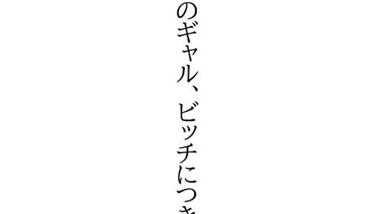 【2025-09-20発売】そのギャル、ビッチにつき。【d_665924】【flexible】