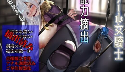 【2025-09-21発売】イケ雌女騎士類能力抽出器具】クールな美女騎士が悪漢の雌便器に調教される物語【d_668145】【尻盛煩悩寺】