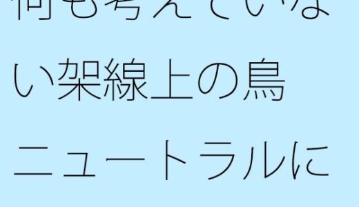【2025-09-19発売】何も考えていない架線上の鳥  ニュートラルに戻しても・・【d_669319】【サマールンルン】