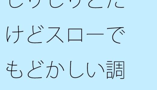 【2025-09-25発売】じりじりとだけどスローでもどかしい調整  そこばかりを見ていたら今度は・・・【d_672495】【サマールンルン】