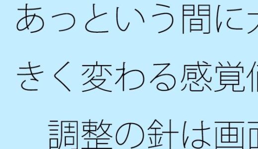 【2025-09-27発売】あっという間に大きく変わる感覚値  調整の針は画面をオーバーしながら左右に・・【d_673499】【サマールンルン】
