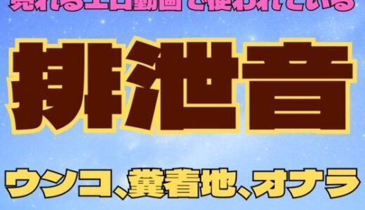 【2025-09-30発売】排便音（1）【ウンコ・ウンコ着地・屁】【d_675608】【フェチリズムセンター♪】