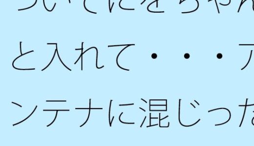【2025-10-06発売】ついでにをちゃんと入れて・・・アンテナに混じった邪念を【d_678582】【サマールンルン】