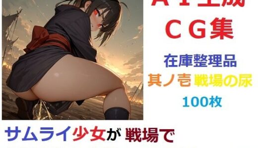 【2025-10-16発売】【在庫整理品】サムライ少女が戦場でお漏らししたりしてるだけのCG集其の壱・戦場の尿【d_678794】【YOG】