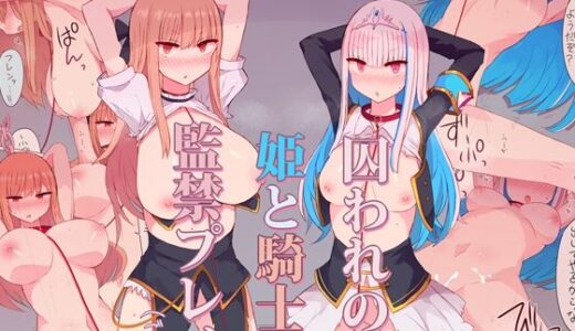 【2025-10-08発売】姫と騎士監禁プレイごっこ【d_679872】【にじいろすいしょう】