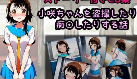 【2025-10-16発売】小咲ちゃんを盗撮したり痴○したりする話【d_680249】【相田ナリラ】