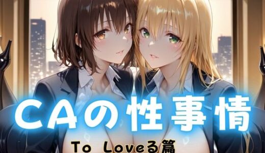 【2025-10-17発売】CAの性事情  ― パイロット専用の肉体奉仕  To L〇VEる教師編【d_680508】【ぶっかけ太郎】