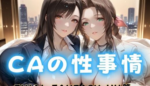 【2025-10-20発売】CAの性事情  ― パイロット専用の肉体奉仕  FINAL FANTAS〇Y VII編【d_682325】【ぶっかけ太郎】