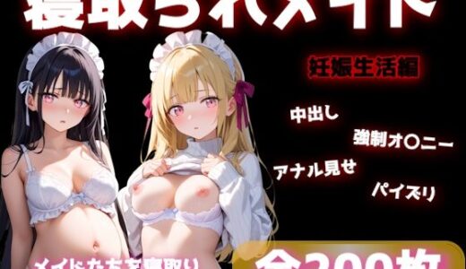【2025-10-26発売】寝取られメイドの妊娠生活【d_684123】【ラッコさん】