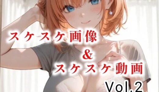 【2025-10-26発売】スケスケ詰め合わせセット  Vol.2【d_684890】【tomato】
