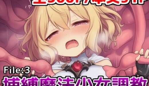 【2025-10-29発売】捕縛魔法少女調教File:3〜魔法少女がアクメ魔法と丸？み触手で悶絶イキ○問調教されちゃう話【d_685243】【saltワークス】