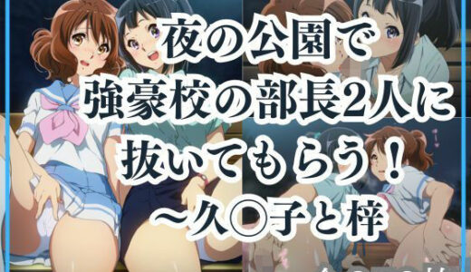 【2025-10-29発売】夜の公園で強豪校の部長2人に抜いてもらう！【d_685310】【Ferrappuccino-FPart】